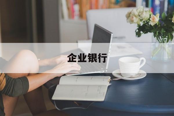 企业银行(企业银行结算账户管理办法)